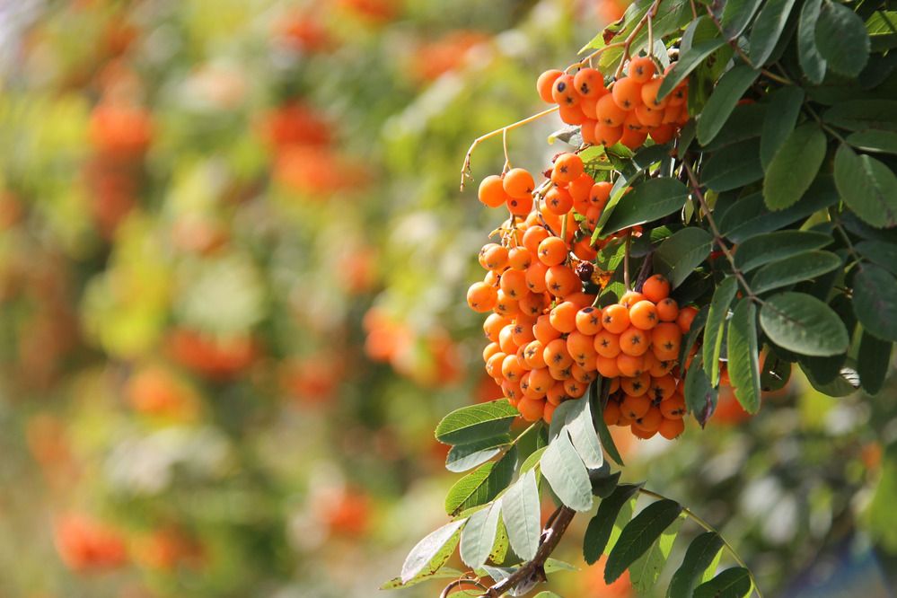 Фотография автора Анастасия Юртикова