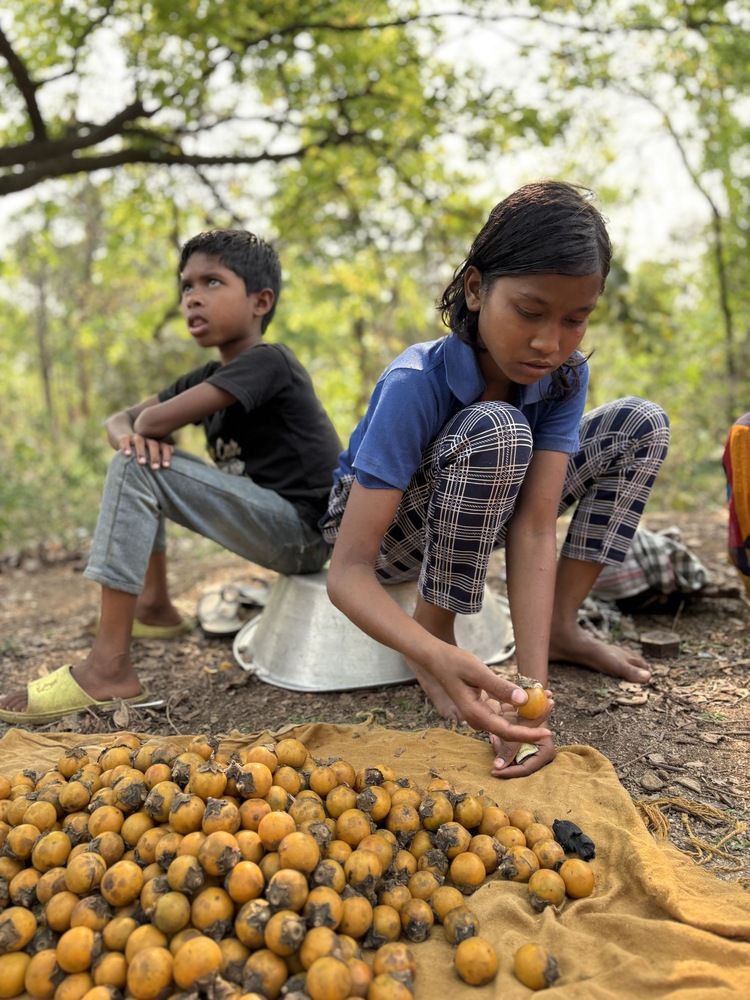 Фотография автора BIPLAB MISRA