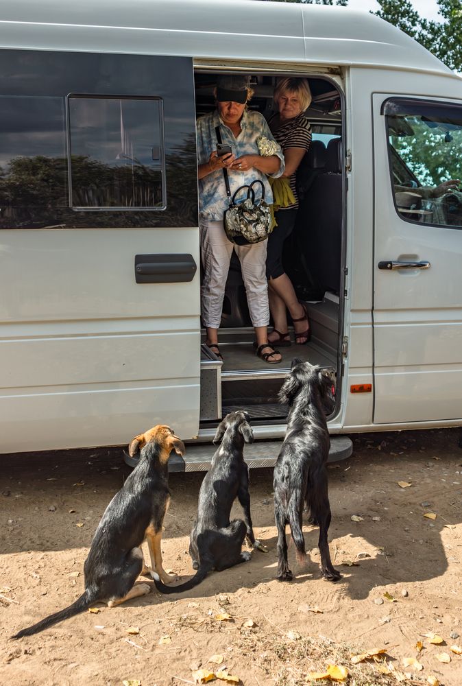 Photograph by Людмила Александровна