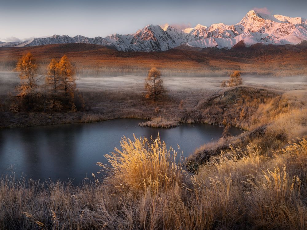 Photograph by Dmitry Medyancev