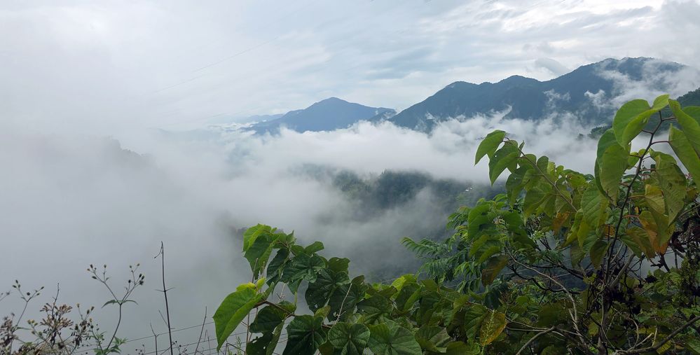 Photograph by satish gautam