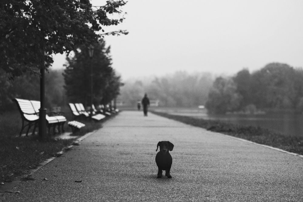 Photograph by Елена Кириллова