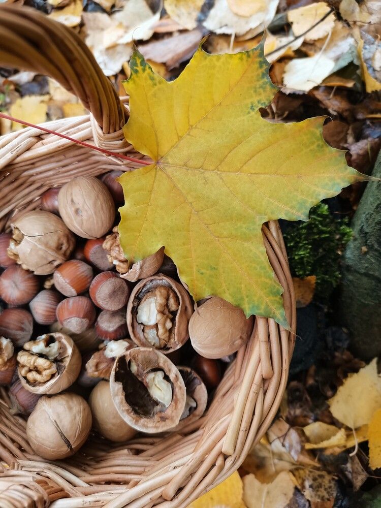 Photograph by Анастасия