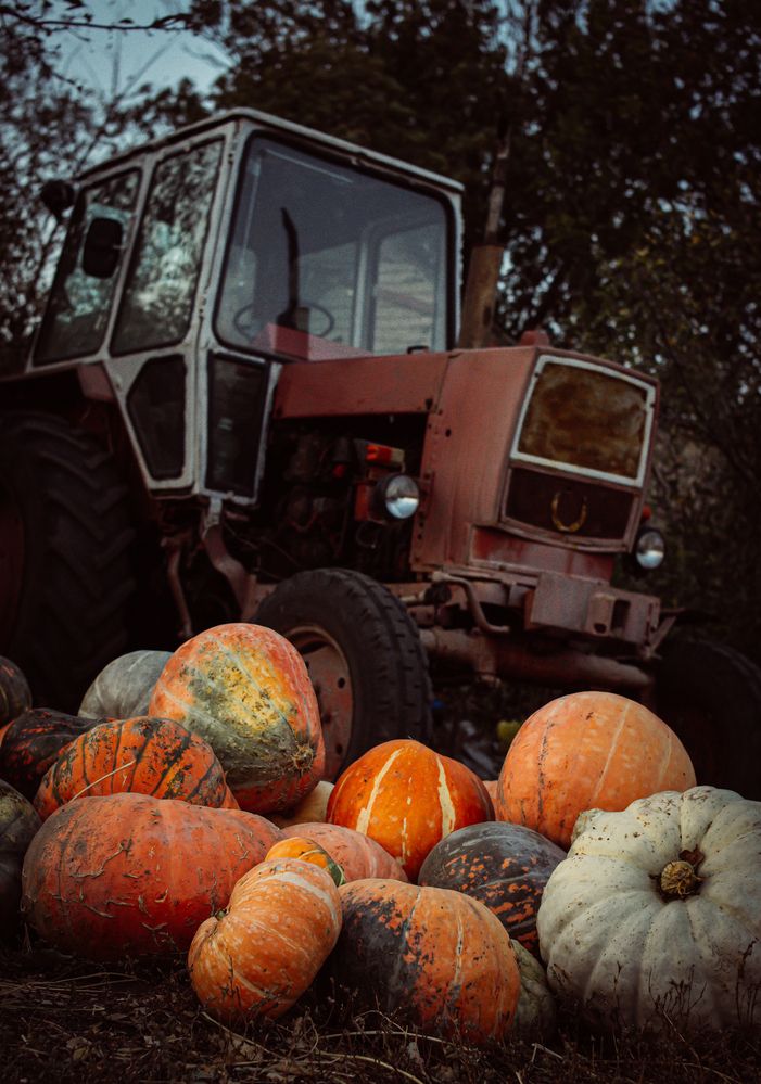 Photograph by Дмитрий Тютюнник