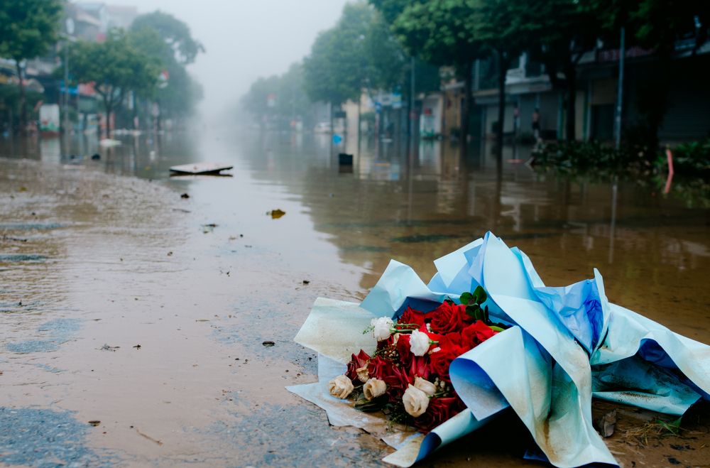 What Remains After the Rain