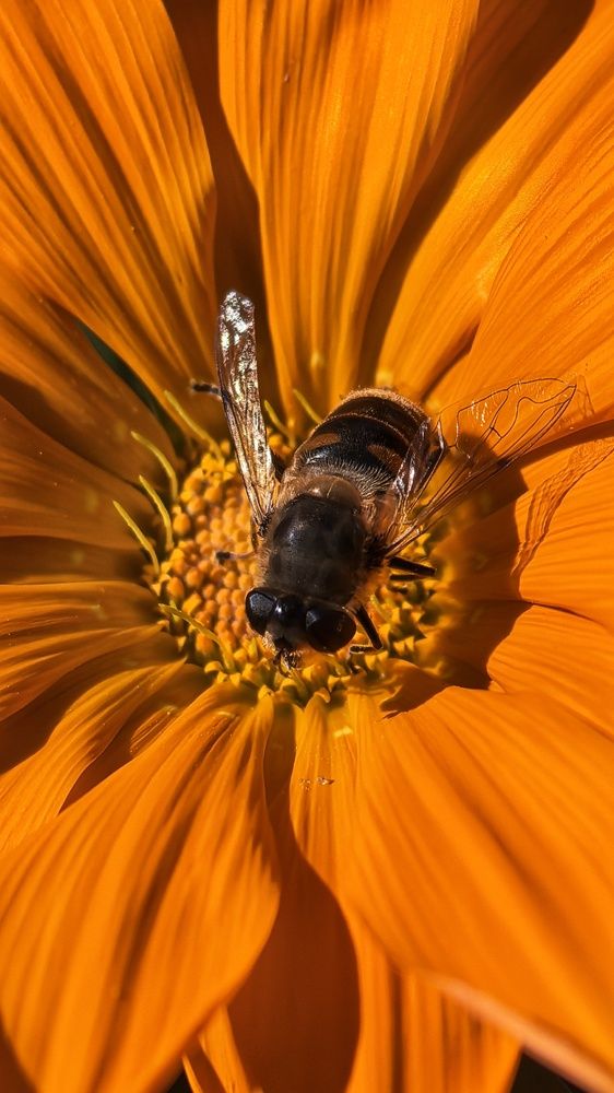 Осенние краски