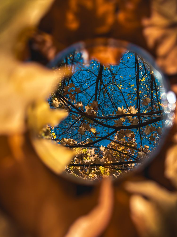 Photograph by Евгений Фролов