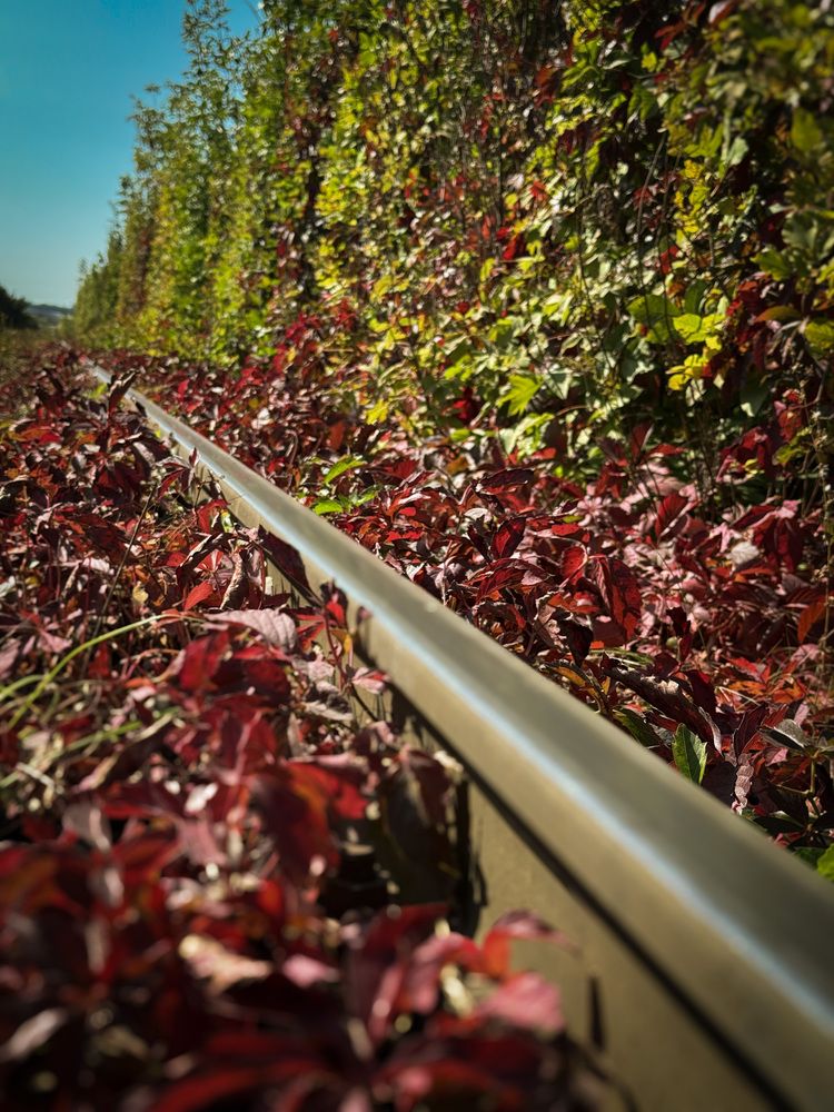 Photograph by Евгений Фролов