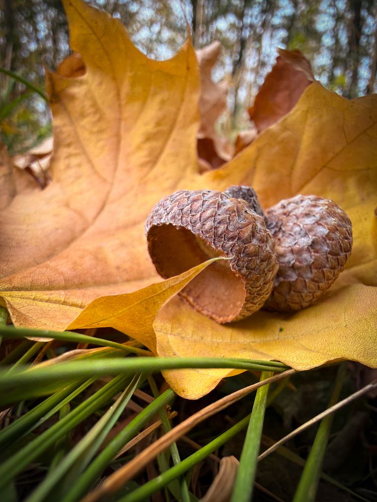 Photograph by Евгений Фролов