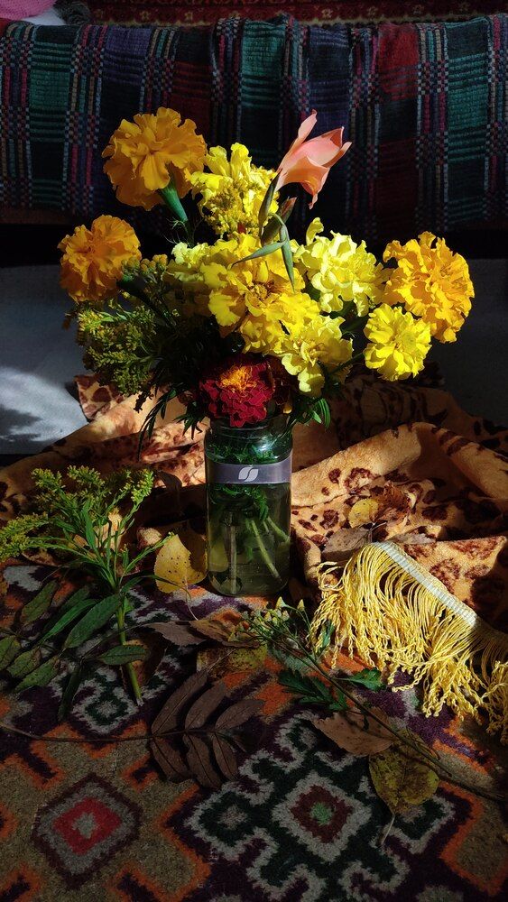 Фотография автора Наталья Елисеева