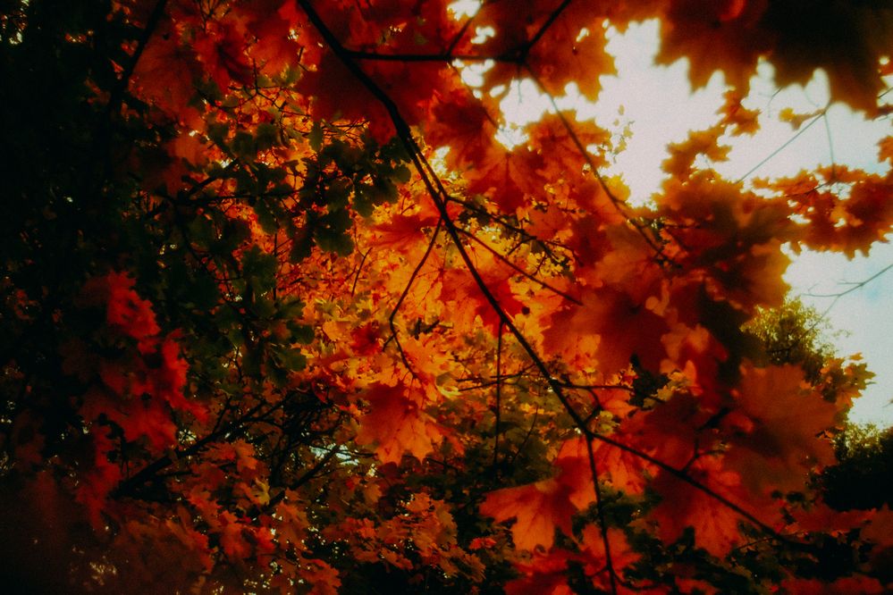 Photograph by Denis Naryshev