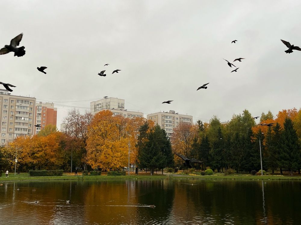 Photograph by Наталья Простова