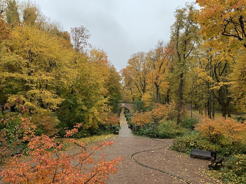 Photograph by Игорь Ребров