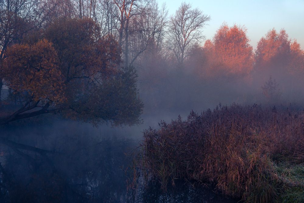 Photograph by Алексеев Сергей