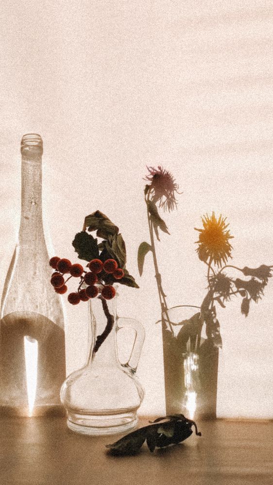 Photograph by Глушакова Татьяна Николаевна