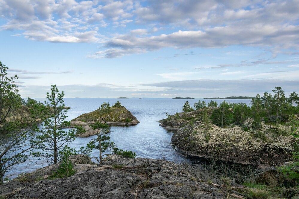 Photograph by Александр Порохов