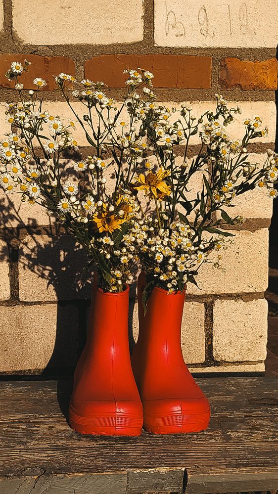 Photograph by Глушакова Татьяна Николаевна