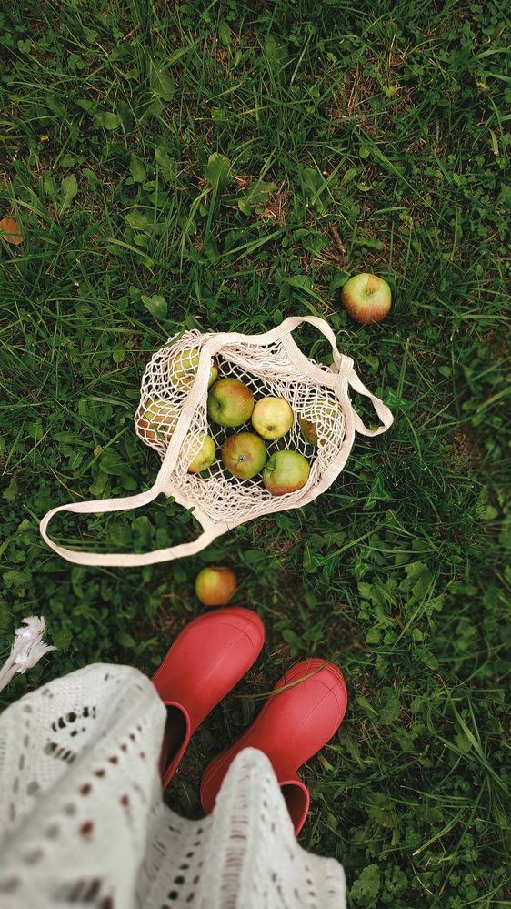 Photograph by Глушакова Татьяна Николаевна