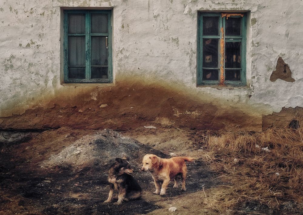 Photograph by Юлия Лушникова