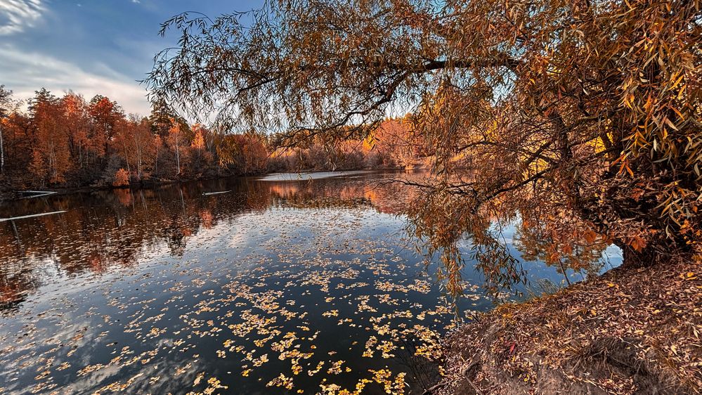 Photograph by Грим Денис