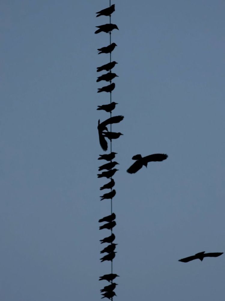 Photograph by Кристина Хавронова