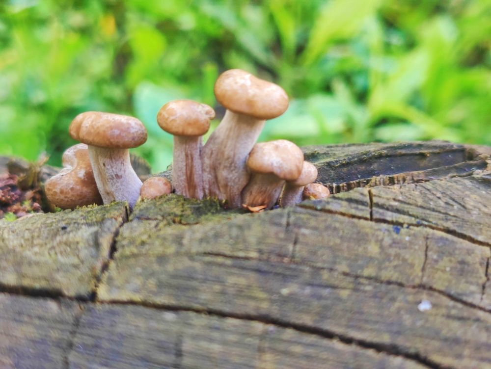 Photograph by Olena Chertous