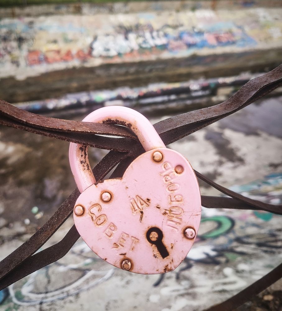 Photograph by Olena Chertous