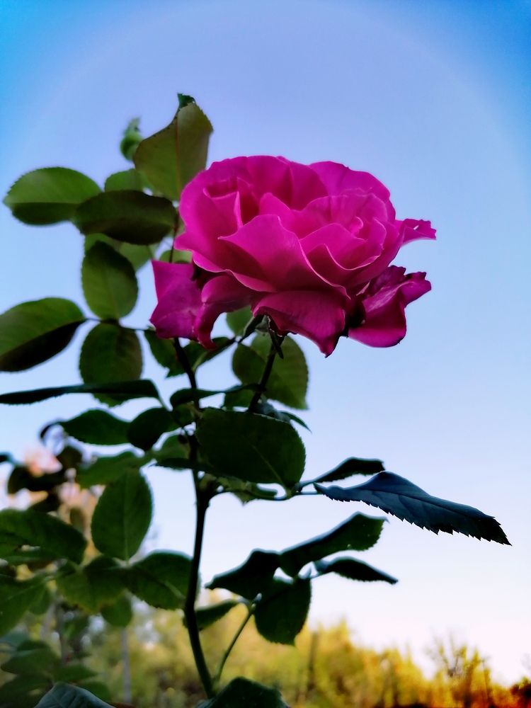 Photograph by Алексей Титков