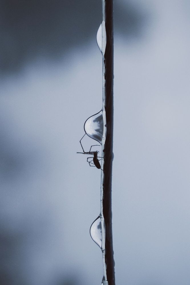 Photograph by Алина Антоняк