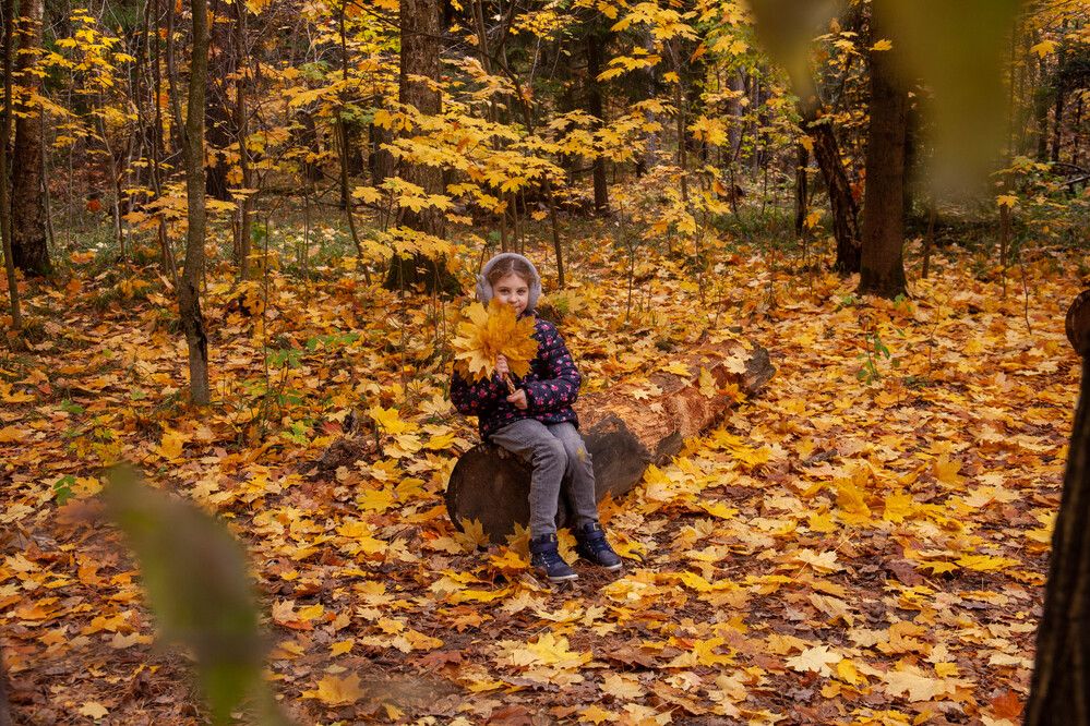 Photograph by Максим Лебедев