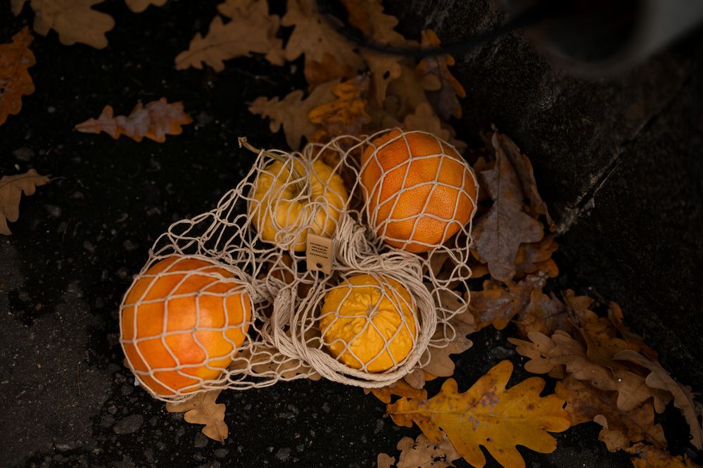 Photograph by Екатерина Каминская