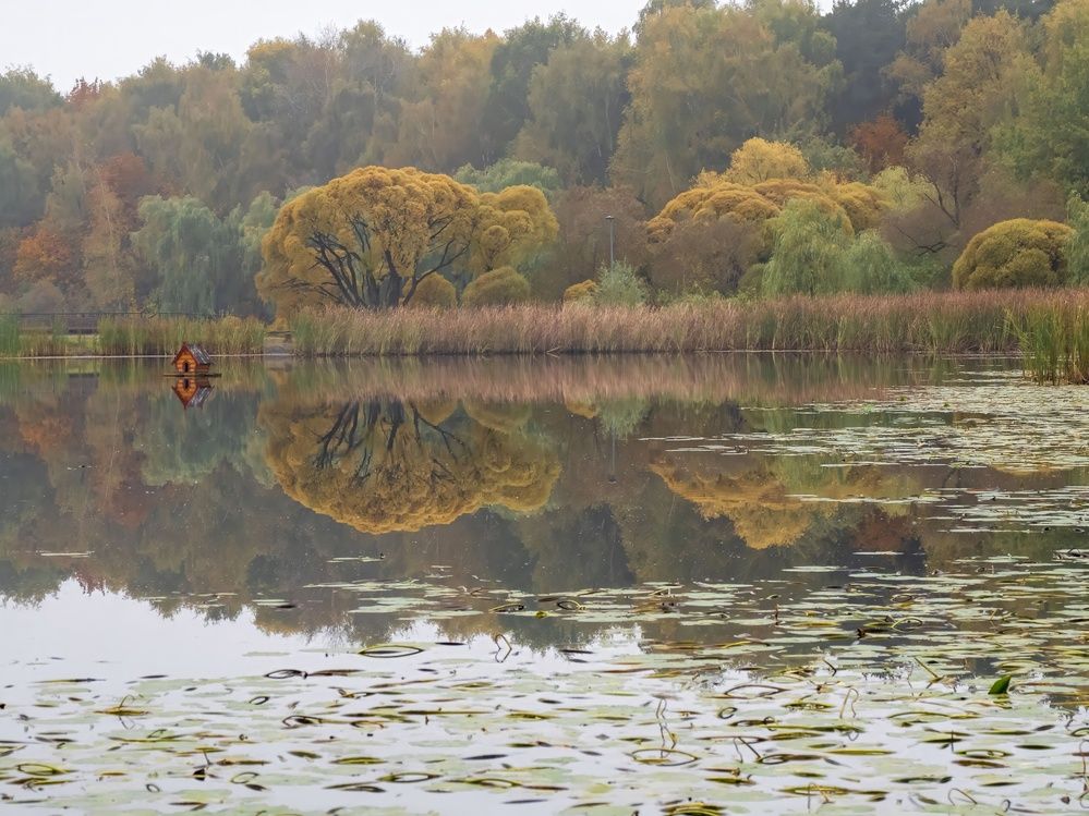 Photograph by Борис Полтавец