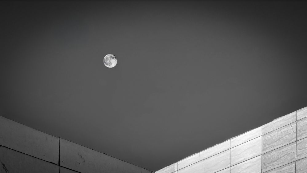 Photograph by علی اصغر آهنگری