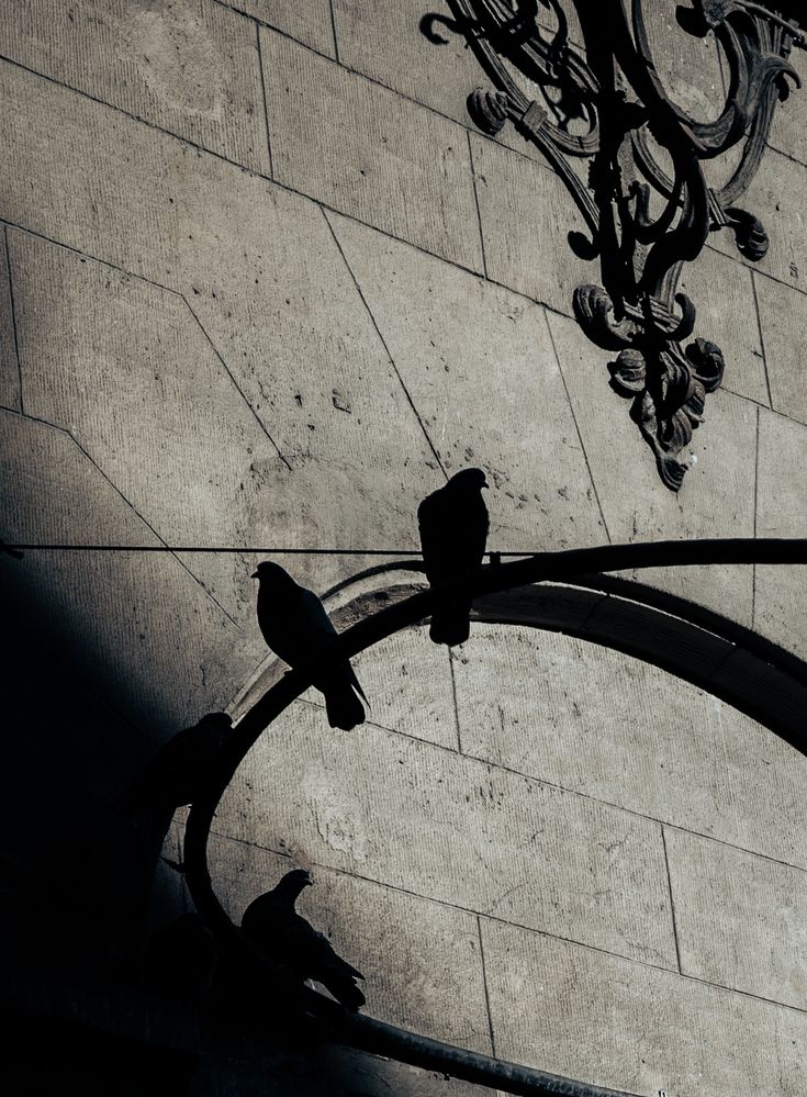 Photograph by Misha Khazov