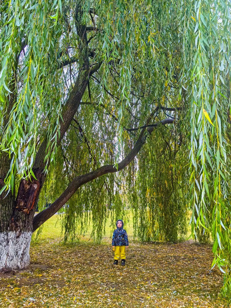 Photograph by Ксения Прохорова