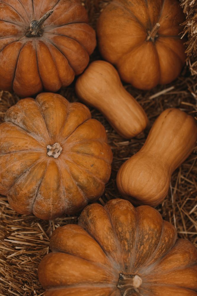 Photograph by Irina Chka