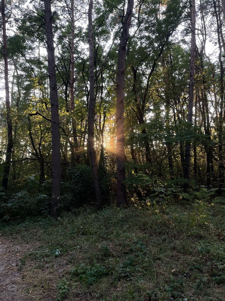 Photograph by Ольга Стариченко