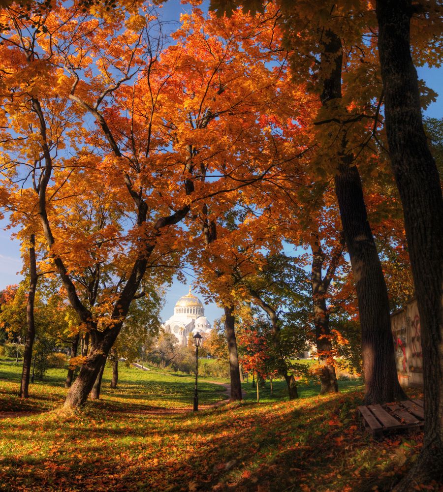 Photograph by Сергей Григорьев