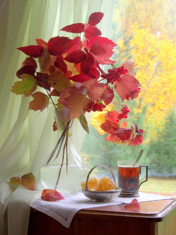 Photograph by Алексеев Сергей