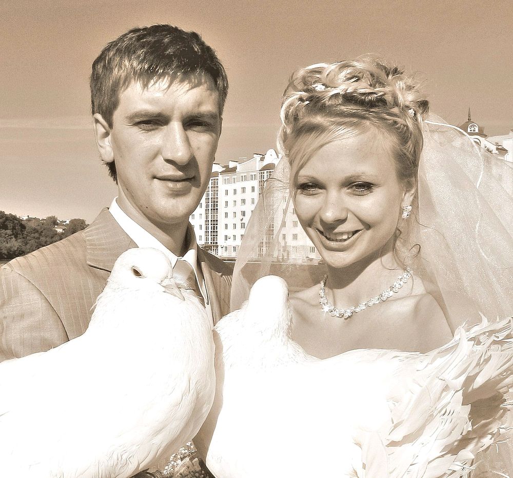 Свадебные голуби