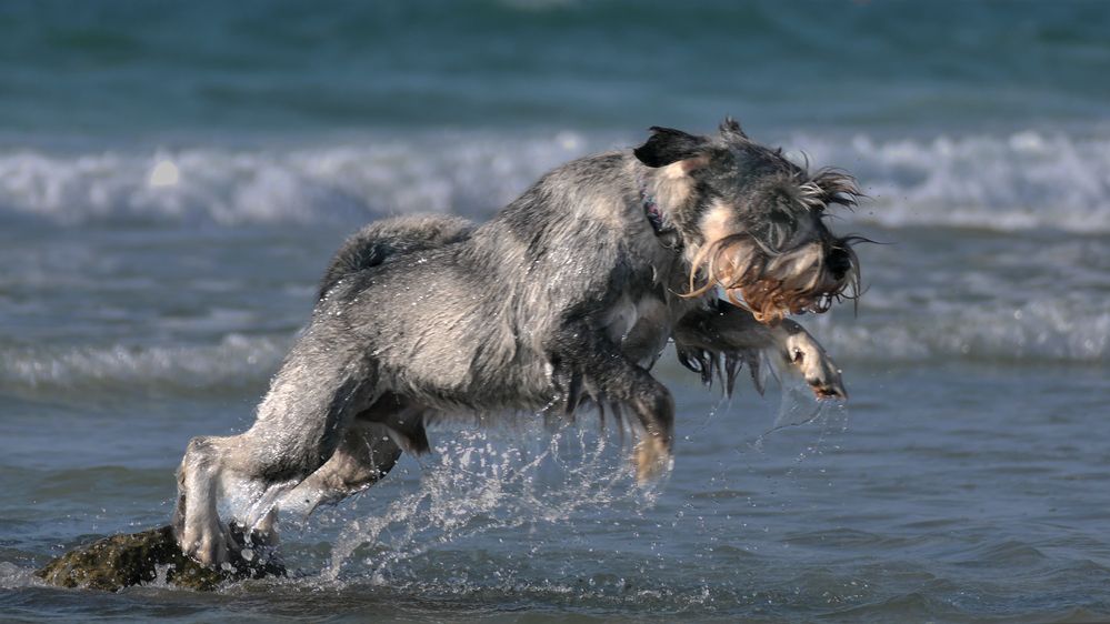 Photograph by Lev Tsenter