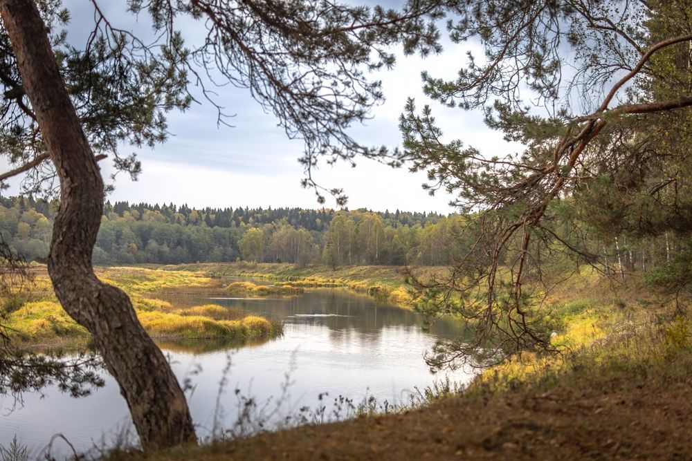 Photograph by Хабаров Сергей