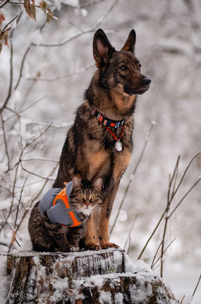 Photograph by Алиса Пономаренко