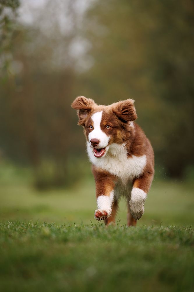 Photograph by Анна Титова