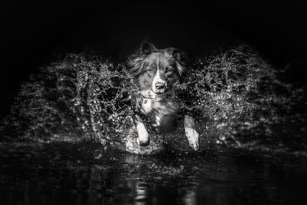 Photograph by Lucie Nermuťová