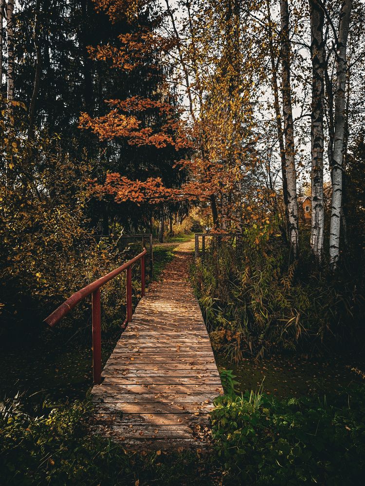 Photograph by Екатерина Никитина