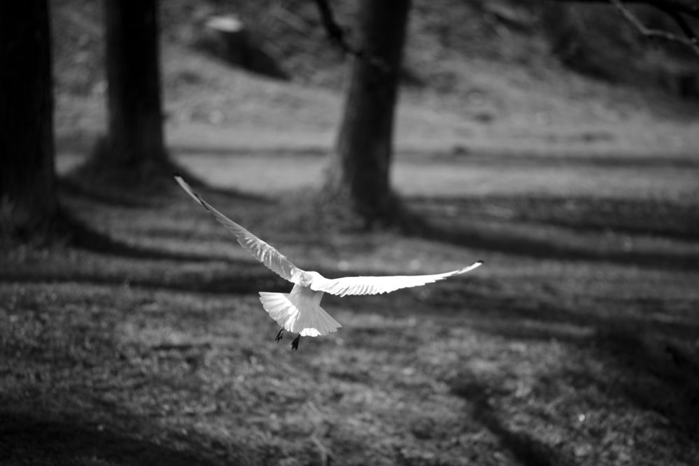 Photograph by Денис Прохоров
