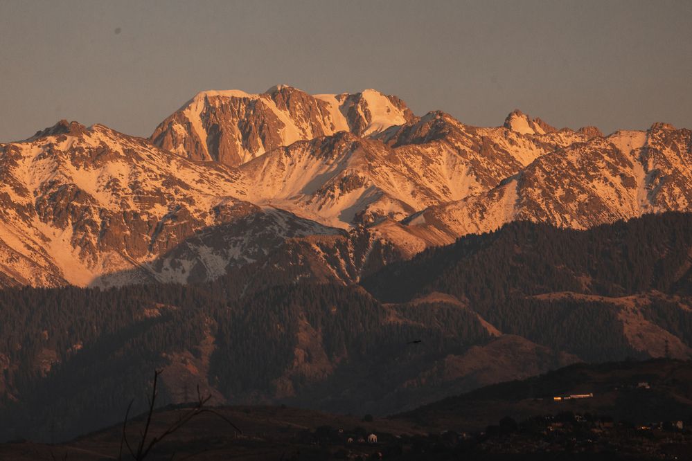 Photograph by Юлия Мальнева