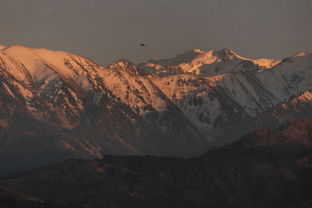 Photograph by Юлия Мальнева