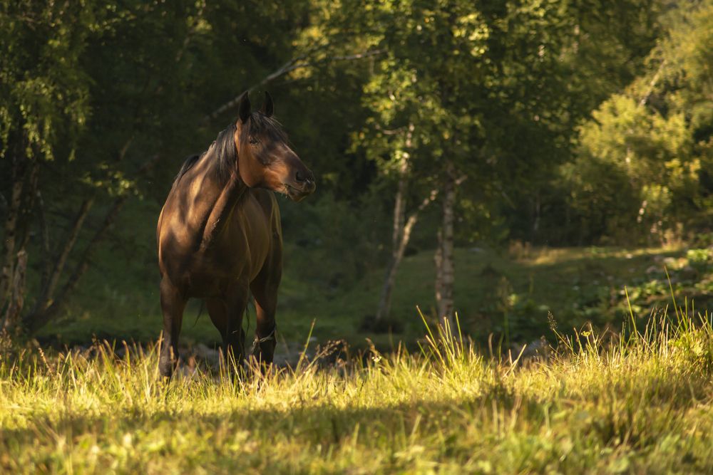 Photograph by Денис Смирнов